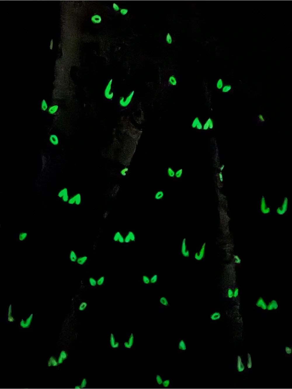 NWT Disney Park Haunted Mansion Blazer Men Gray Jacket Glow AOP Halloween L/XL